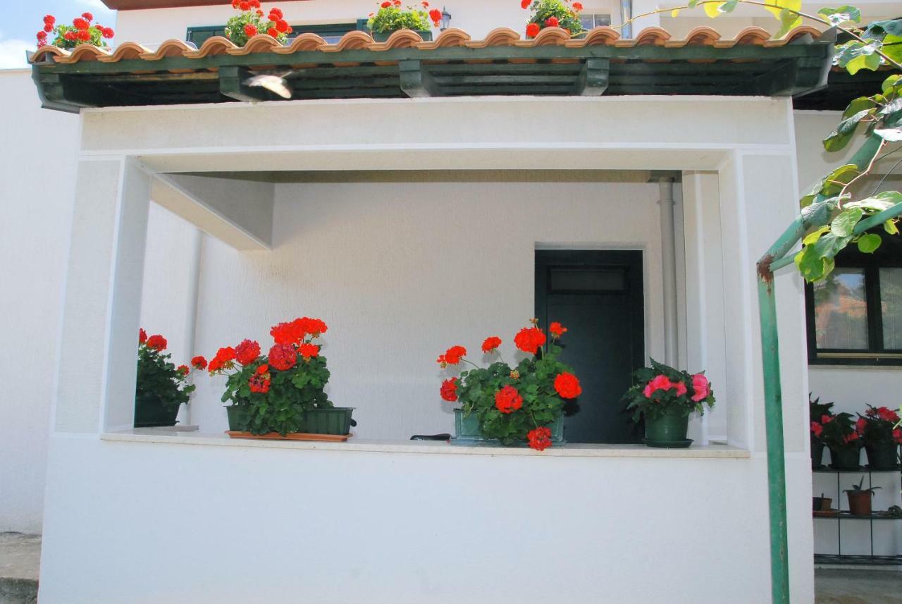 Apartmani Bauk Poreč Zewnętrze zdjęcie