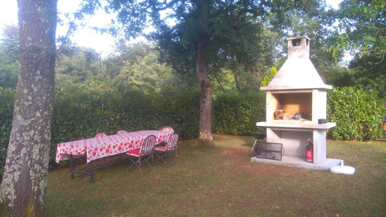 Apartmani Bauk Poreč Zewnętrze zdjęcie
