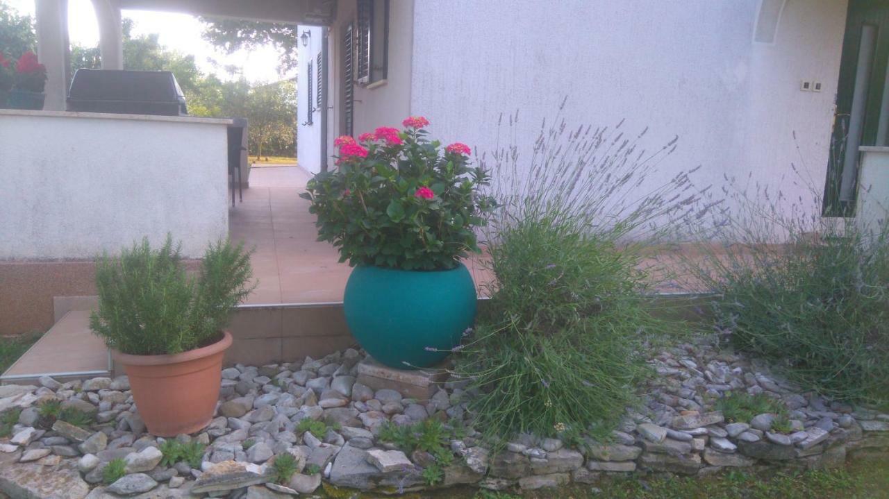 Apartmani Bauk Poreč Zewnętrze zdjęcie
