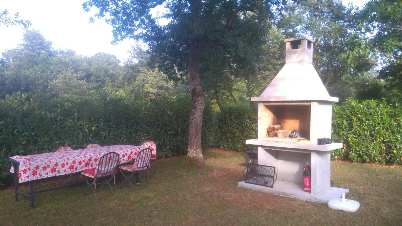 Apartmani Bauk Poreč Zewnętrze zdjęcie
