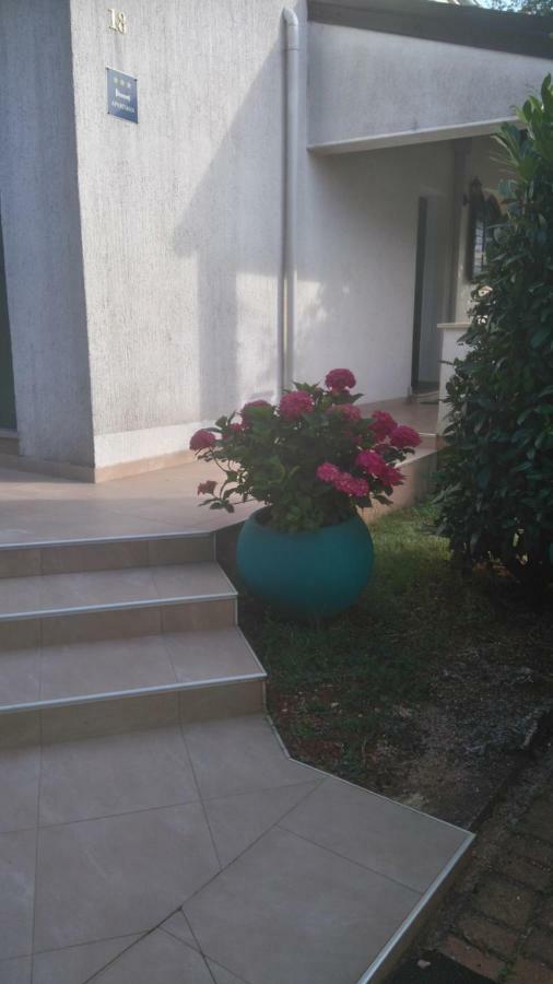 Apartmani Bauk Poreč Zewnętrze zdjęcie