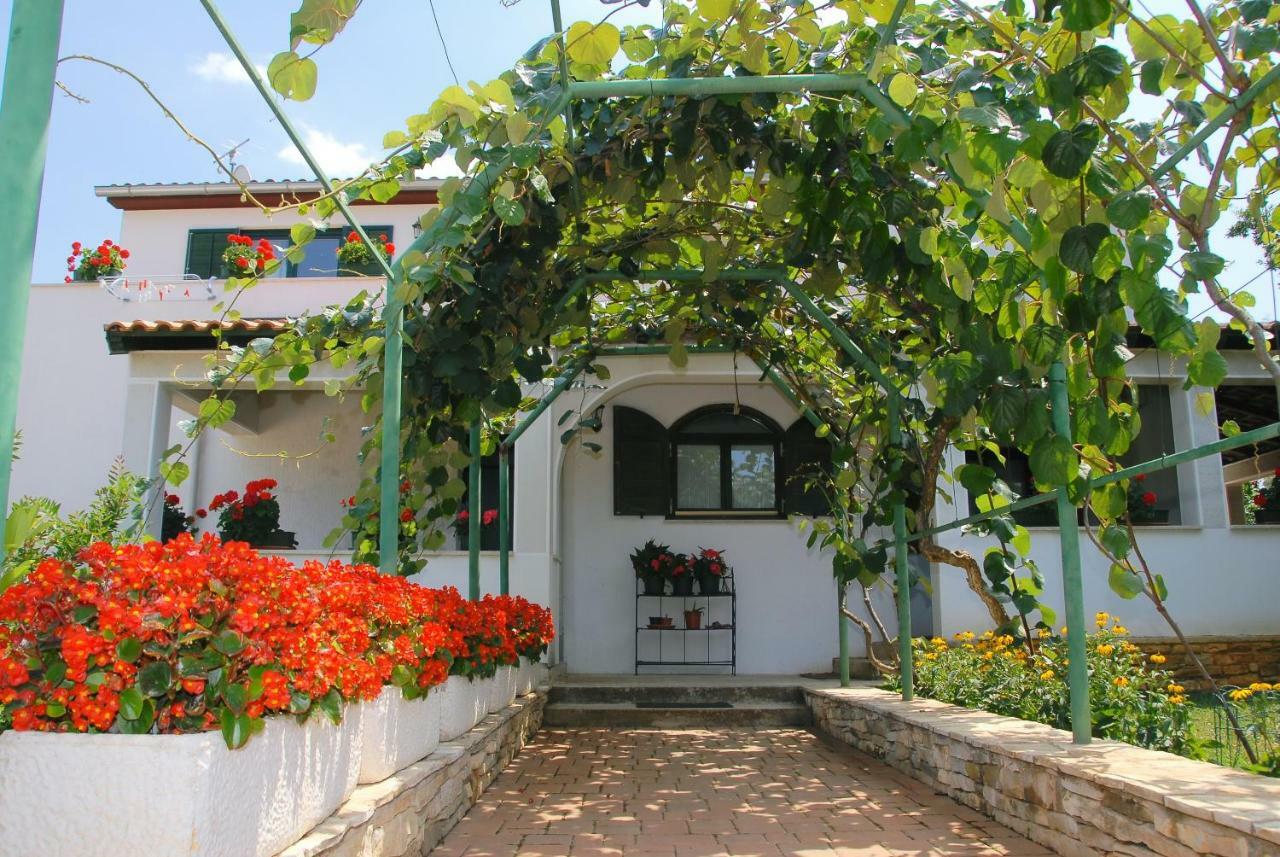 Apartmani Bauk Poreč Zewnętrze zdjęcie